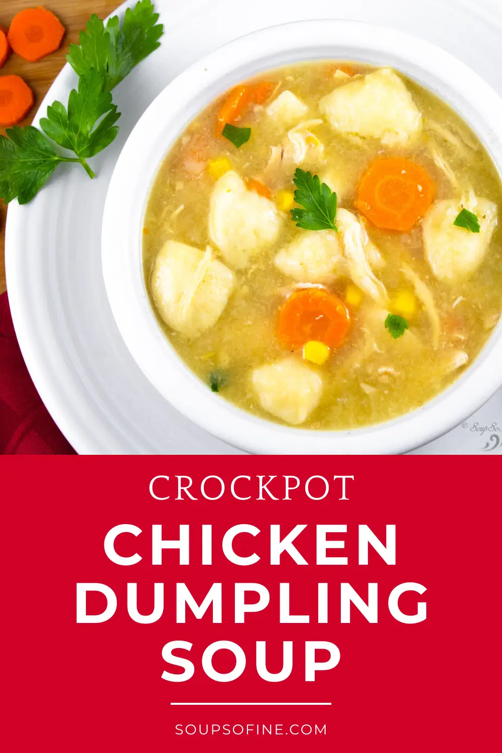 bowl is of Chicken Dumpling Soup