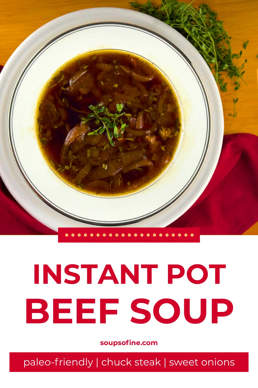 bowl of Instant Pot beef soup